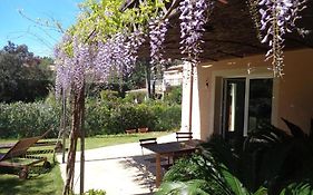 Villa Angelina Garden